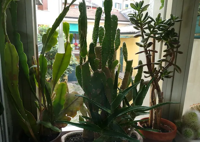 A casa di Luca