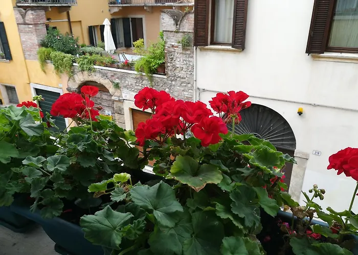 A casa di Luca